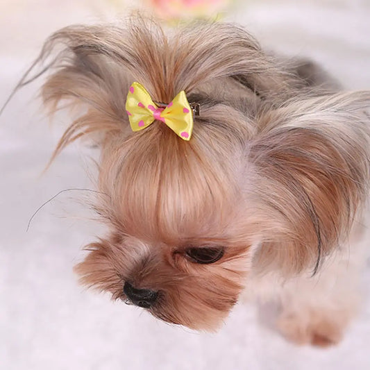Hair Clips For Dogs Cat Sweet Bow Hairpins Colorful Hair Barrette Puppy Beauty Supplies Pet Butterfly Bows Pet Supplies