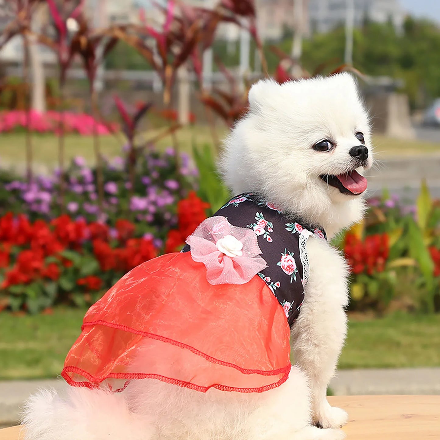 Pet Dresses Spring And Summer Pet Cothes Spring And Summer Cute Pet Supplies Dresses Rose Dress Dog Clothes Ropa Para Perros