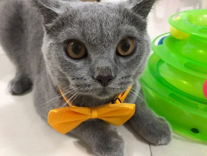 Dog Bow Tie Adjustable Dog Cat Necklace Neck Tie Cute Convenient Pet Accessories Bow Tie Formal Puppy Bowtie Collar Pet Supplies