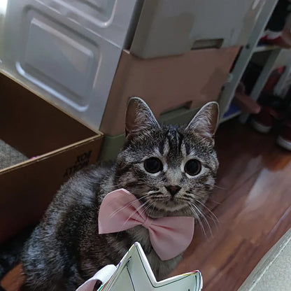 Dog Bow Tie Adjustable Dog Cat Necklace Neck Tie Cute Convenient Pet Accessories Bow Tie Formal Puppy Bowtie Collar Pet Supplies