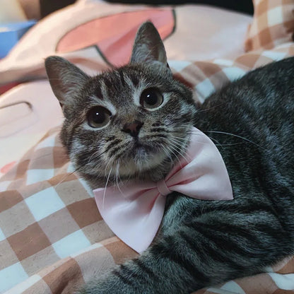 Dog Bow Tie Adjustable Dog Cat Necklace Neck Tie Cute Convenient Pet Accessories Bow Tie Formal Puppy Bowtie Collar Pet Supplies