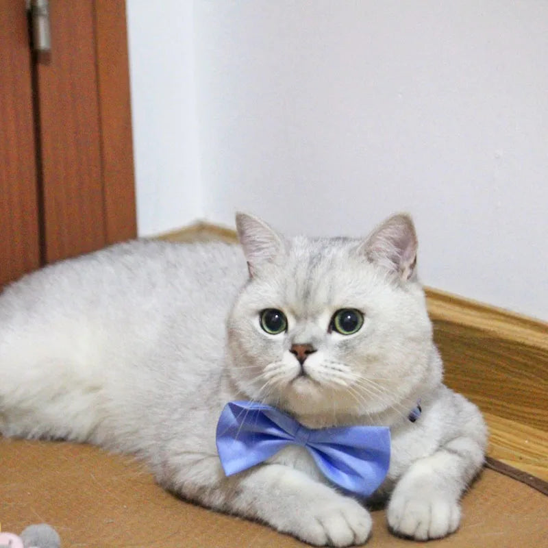 Dog Bow Tie Adjustable Dog Cat Necklace Neck Tie Cute Convenient Pet Accessories Bow Tie Formal Puppy Bowtie Collar Pet Supplies
