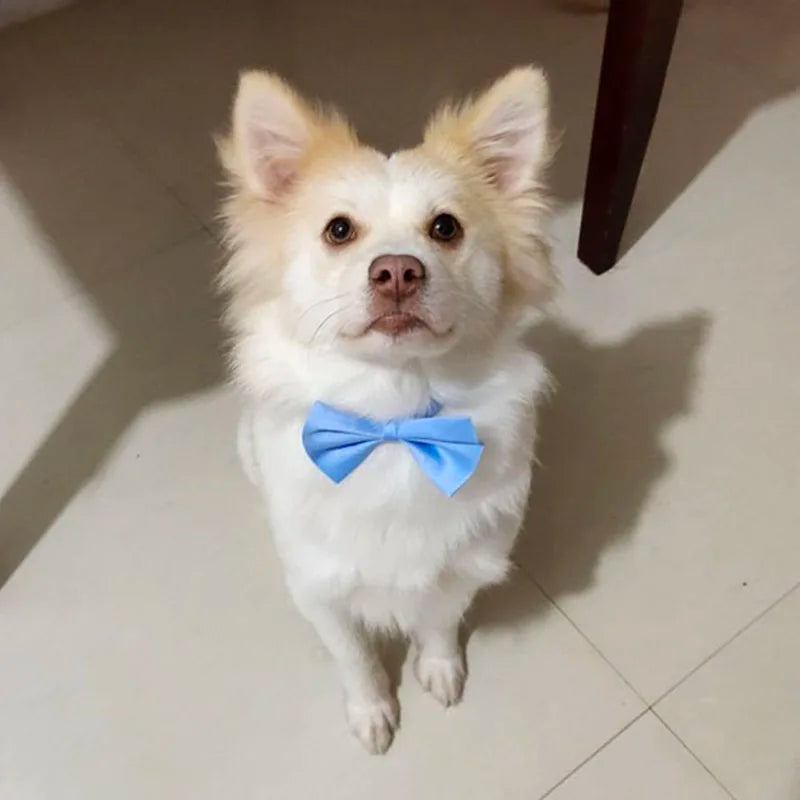 Dog Bow Tie Adjustable Dog Cat Necklace Neck Tie Cute Convenient Pet Accessories Bow Tie Formal Puppy Bowtie Collar Pet Supplies