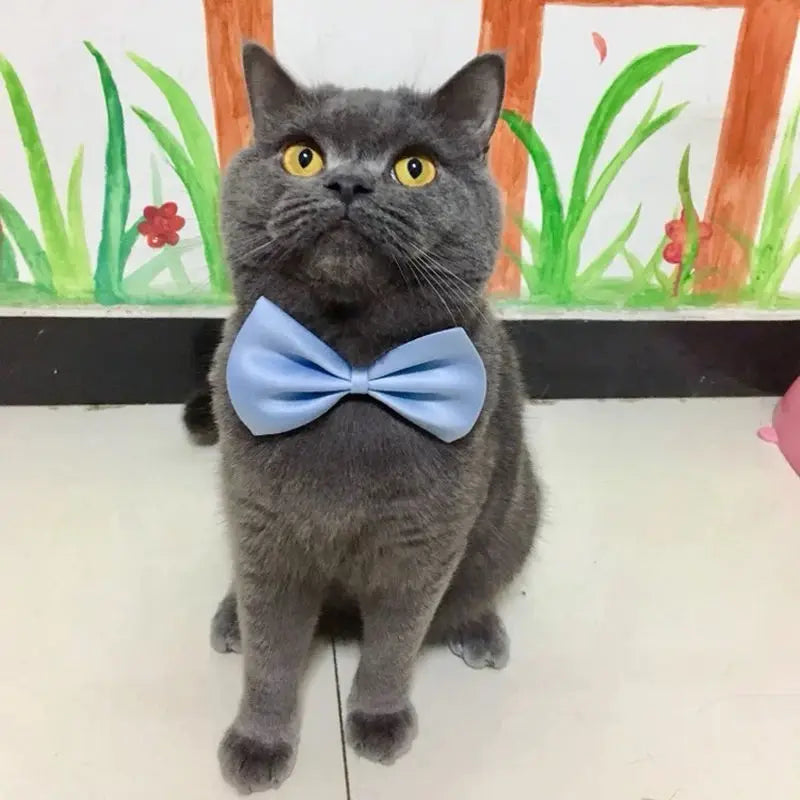 Dog Bow Tie Adjustable Dog Cat Necklace Neck Tie Cute Convenient Pet Accessories Bow Tie Formal Puppy Bowtie Collar Pet Supplies