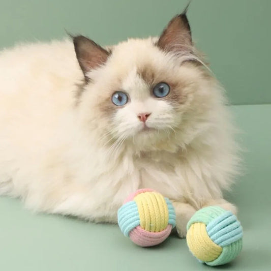 Cat Toys Cotton Balls Interactive Cat Toy Self Hi Cotton Ball Chew Toys for Cats Grinding Cat Toy Teeth Cleaning Pet Supplies