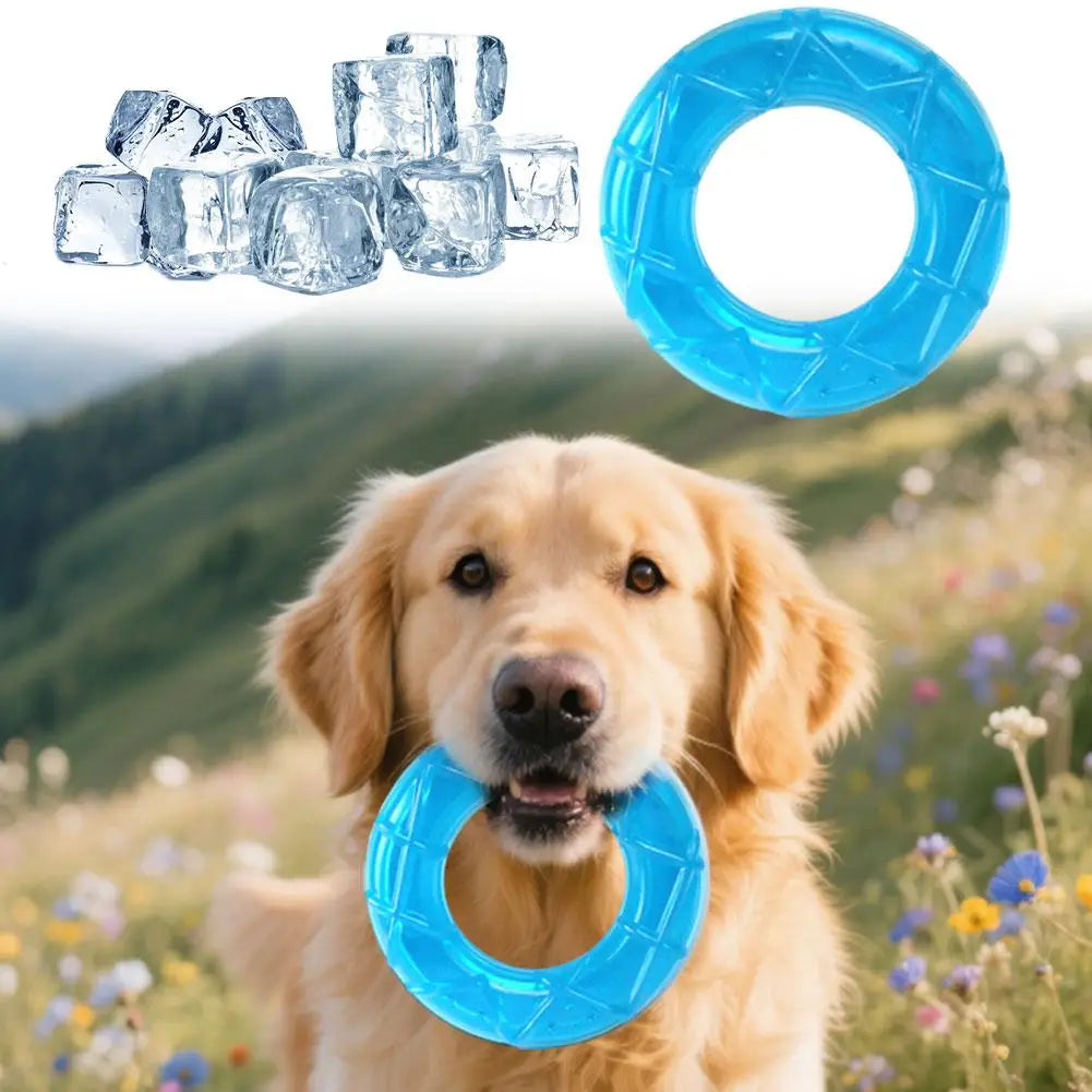 Dog Ice Stick Relieving Heat Cooling Pet Supplies Water Injection Tooth Grinding Toy Set Chew Puppy Outdoor Treat Training
