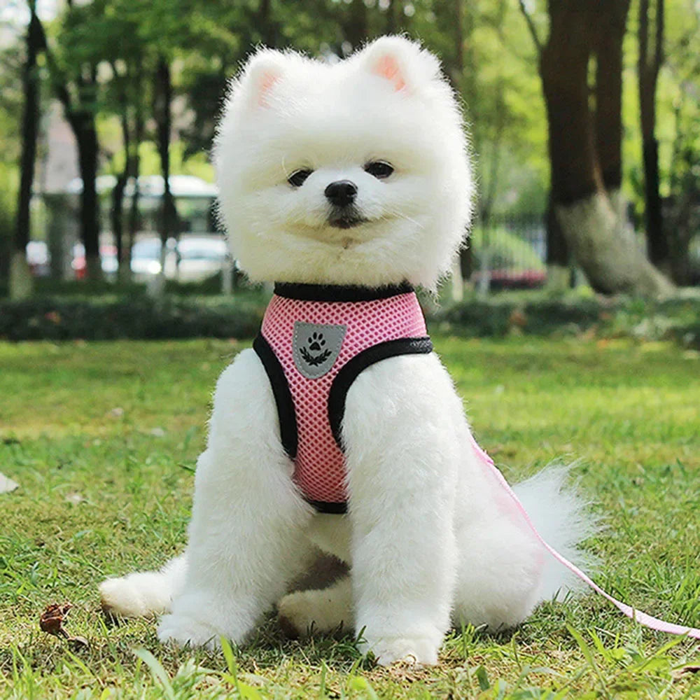 Dog Harness Vest Chest Cat Collars Rope Adjustable Breathable Mesh Puppy Harness for Outdoor Walking Small Medium Pet Supplies
