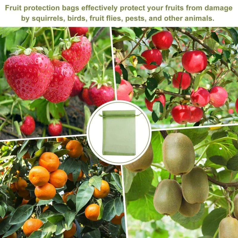 1/5/50/100Pcs Grapes Fruit Protection Bags Pest Control Anti-Bird Garden Netting Bags Mesh Agricultural Tree Garden Tool Bags