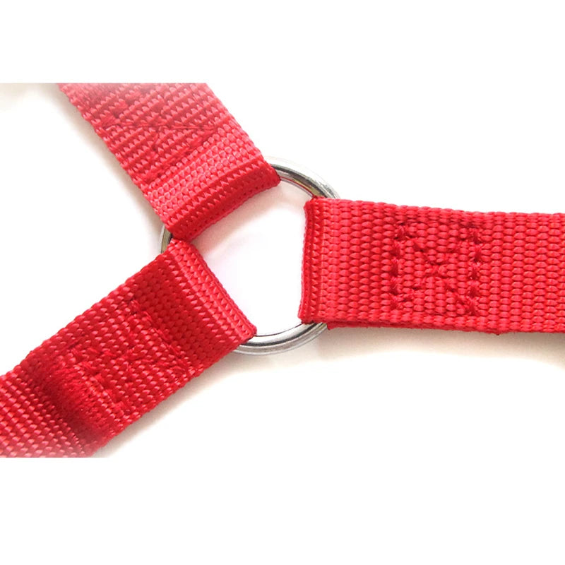 Dog Harness Dog Vest Strap Adjustable Triangular Breathable Nylon Harness Dogs Puppy Cats Pet supplies