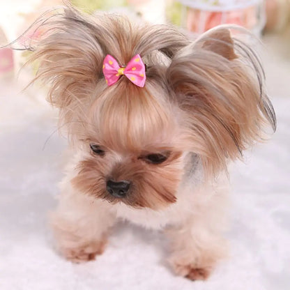 Hair Clips For Dogs Cat Sweet Bow Hairpins Colorful Hair Barrette Puppy Beauty Supplies Pet Butterfly Bows Pet Supplies