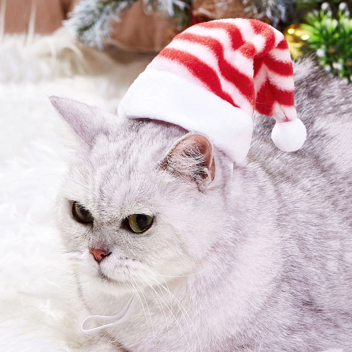 Pet Cat Dog Christmas Hat Cap Puppy Dog Accessories for Small Dogs Costume Dog Caps for Cats Costumes Pet Supplies 강아지 크리스마스