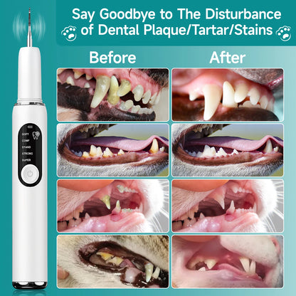 CURVY MOON Pet Use Ultrasonic Tooth Cleaner Dog Cat Dental Scaler for Tartar Removal Teeth Cleaning Tool with Sonic Technolog