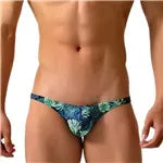 DESMIIT Waterproof Boardshorts Mens Beach Board Swim Shorts Men Swimming Trunks Transparent Surfing Short Bath Suit Sport Wear