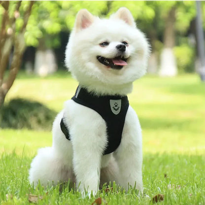 Dog Harness Vest Chest Cat Collars Rope Adjustable Breathable Mesh Puppy Harness for Outdoor Walking Small Medium Pet Supplies