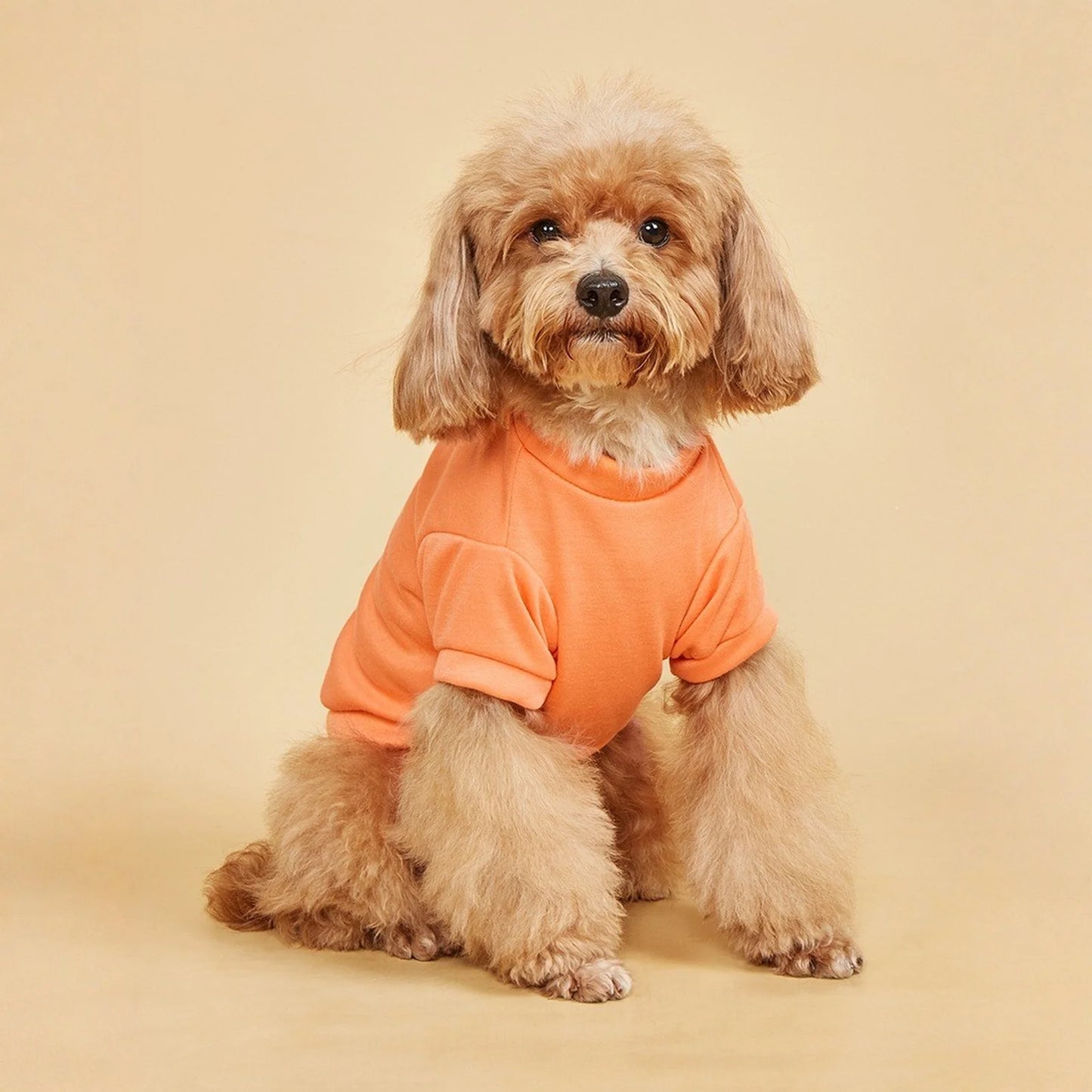 Breathable Dog T-shirt Solid Comfortable Thin Vest For Dogs Cute Summer Pet Clothes Dog Vest Tops Pet Supplies
