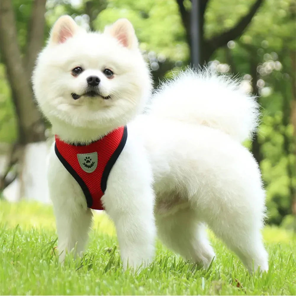 Dog Harness Vest Chest Cat Collars Rope Adjustable Breathable Mesh Puppy Harness for Outdoor Walking Small Medium Pet Supplies