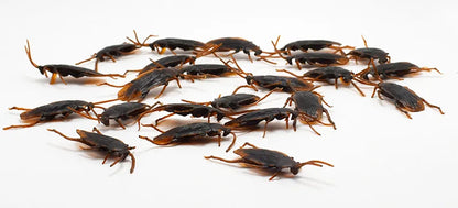 5-50Pcs Halloween gadget Plastic Cockroaches Joke Decoration Props Rubber Toy Gags Practical Jokes Toys Plastic Bugs Cockroach