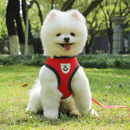 Dog Harness Vest Chest Cat Collars Rope Adjustable Breathable Mesh Puppy Harness for Outdoor Walking Small Medium Pet Supplies