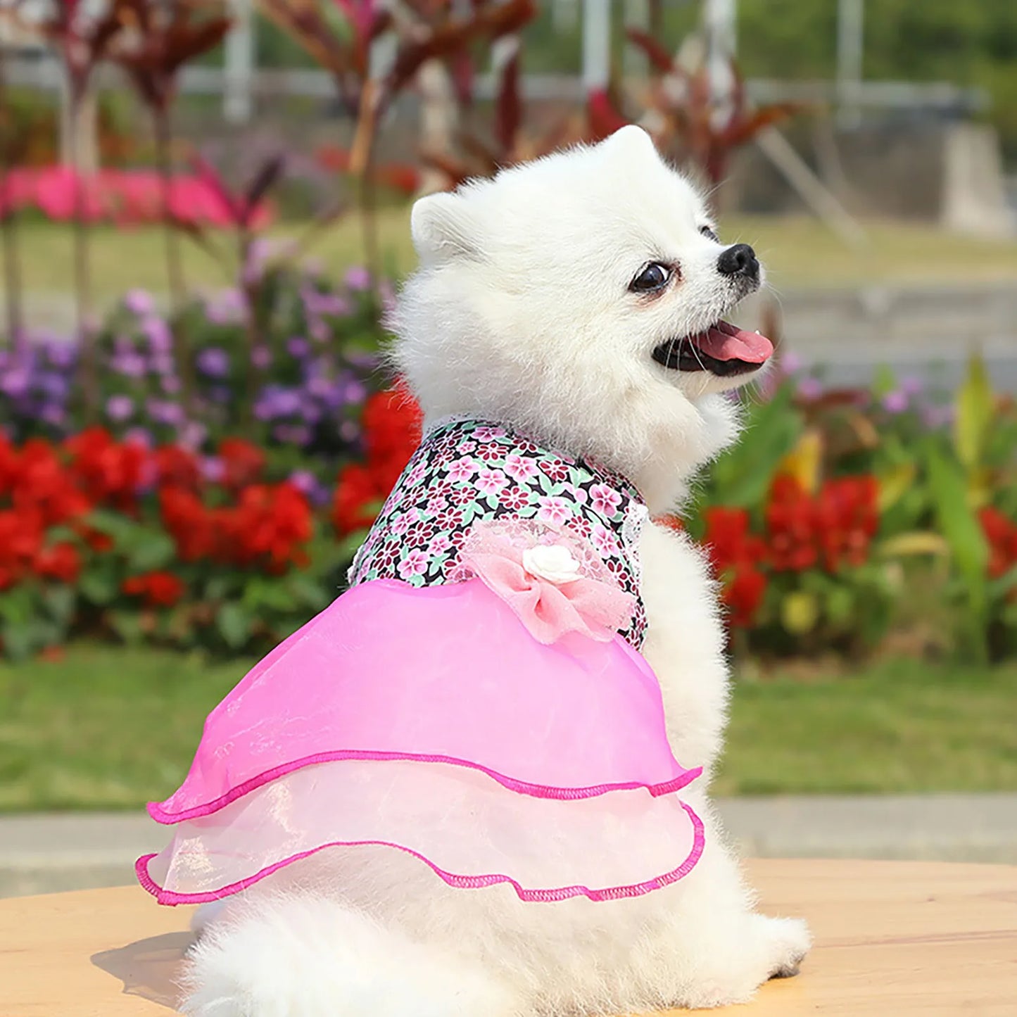 Pet Dresses Spring And Summer Pet Cothes Spring And Summer Cute Pet Supplies Dresses Rose Dress Dog Clothes Ropa Para Perros