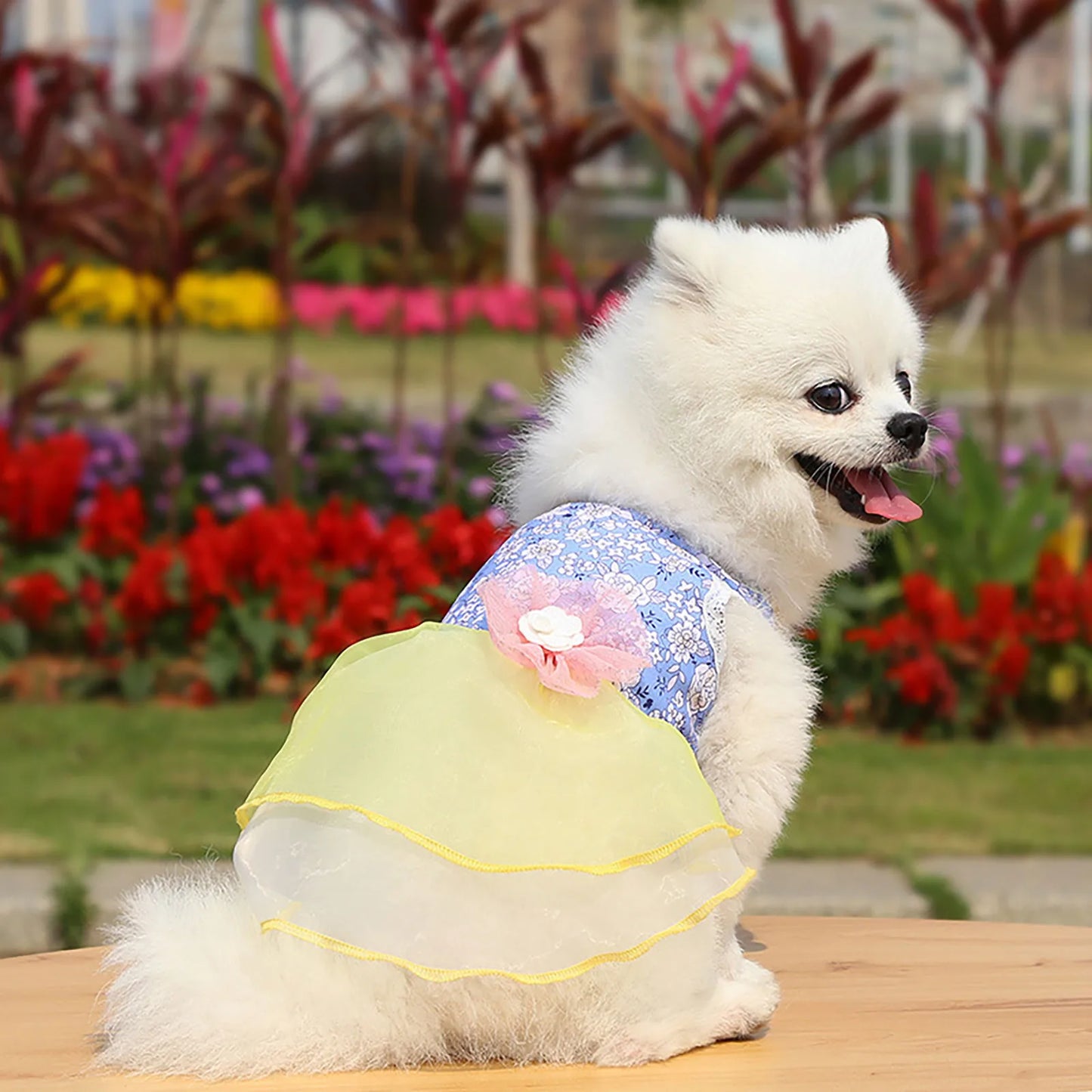 Pet Dresses Spring And Summer Pet Cothes Spring And Summer Cute Pet Supplies Dresses Rose Dress Dog Clothes Ropa Para Perros