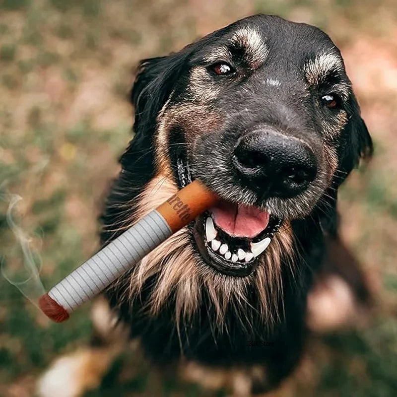 Dog Toy Funny Interactive Plush Dog Toys Creatives Cigarette Design Giggling Chewing Toys for Dog The Perfect Pet Gift for Plays