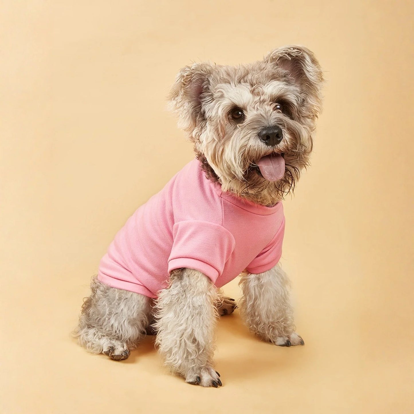 Breathable Dog T-shirt Solid Comfortable Thin Vest For Dogs Cute Summer Pet Clothes Dog Vest Tops Pet Supplies