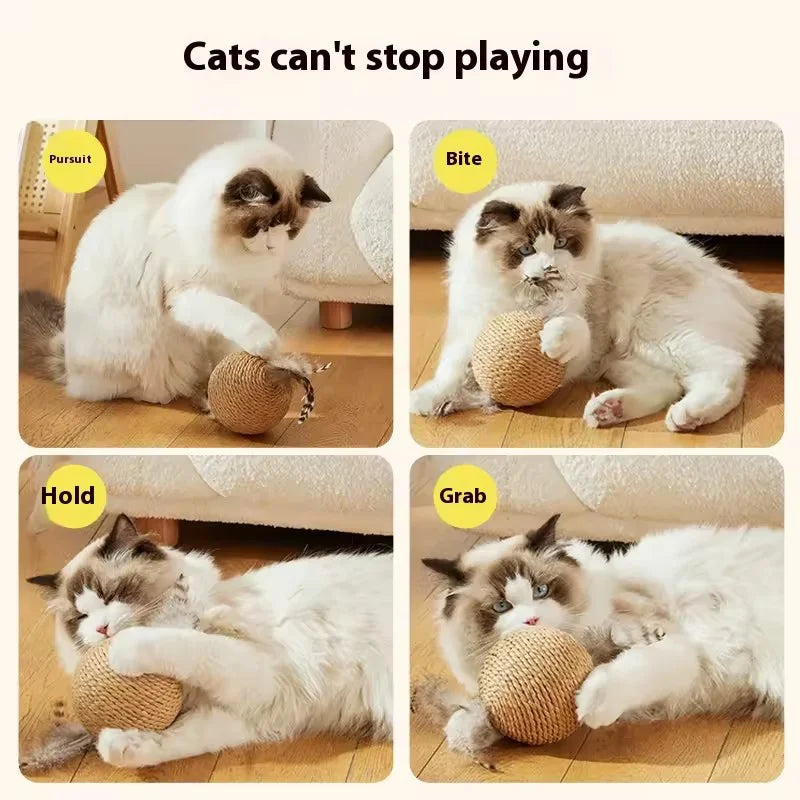8cm Bite-Resistant Cat Scratching Ball | Interactive Kitten Toy with Crinkle Sound for Cats Chasing & Play Pet Supplies