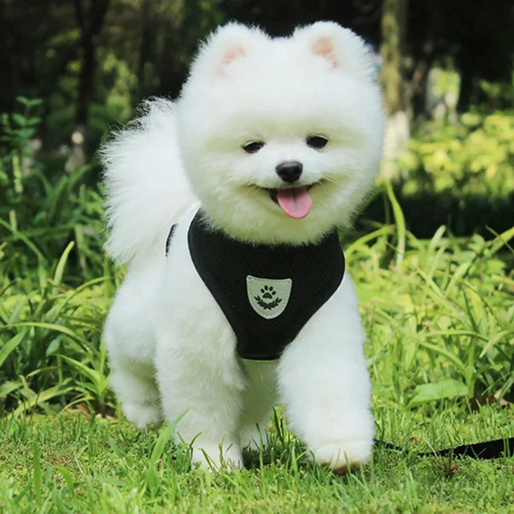 Dog Harness Vest Chest Cat Collars Rope Adjustable Breathable Mesh Puppy Harness for Outdoor Walking Small Medium Pet Supplies