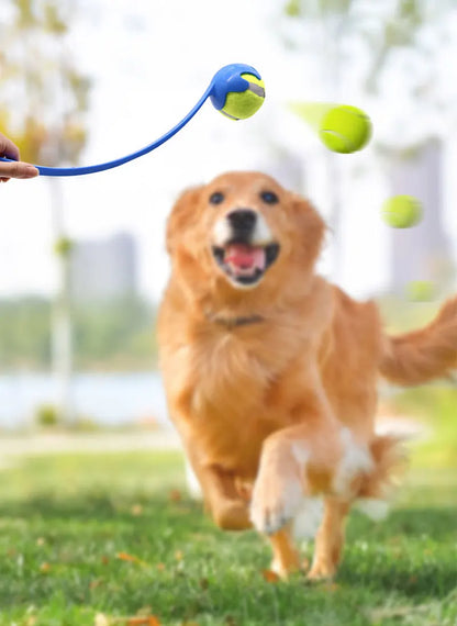 Pet Tennis Ball Launcher Stick - Interactive Outdoor Dog Funny Training Interactive Ball Picking Toy Training Toys Pet Supplies