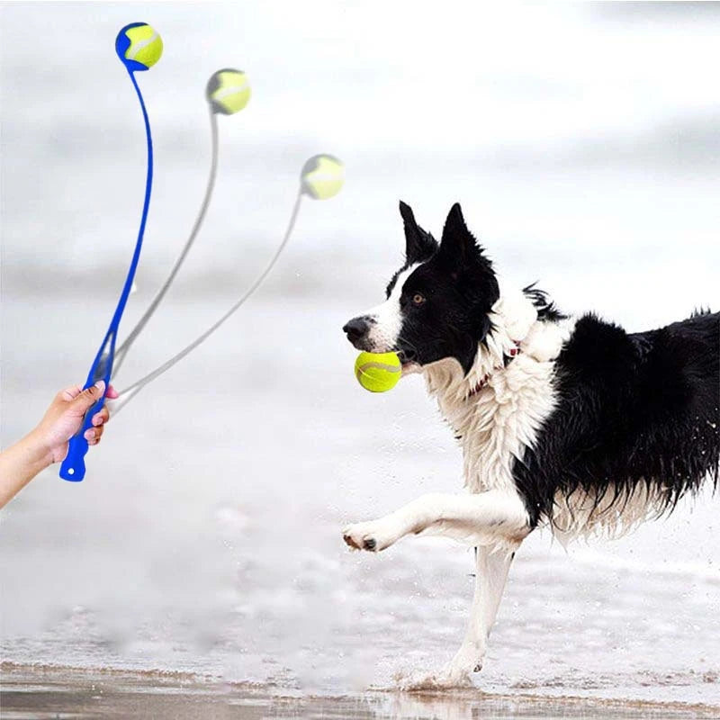 Pet Tennis Ball Launcher Stick - Interactive Outdoor Dog Funny Training Interactive Ball Picking Toy Training Toys Pet Supplies