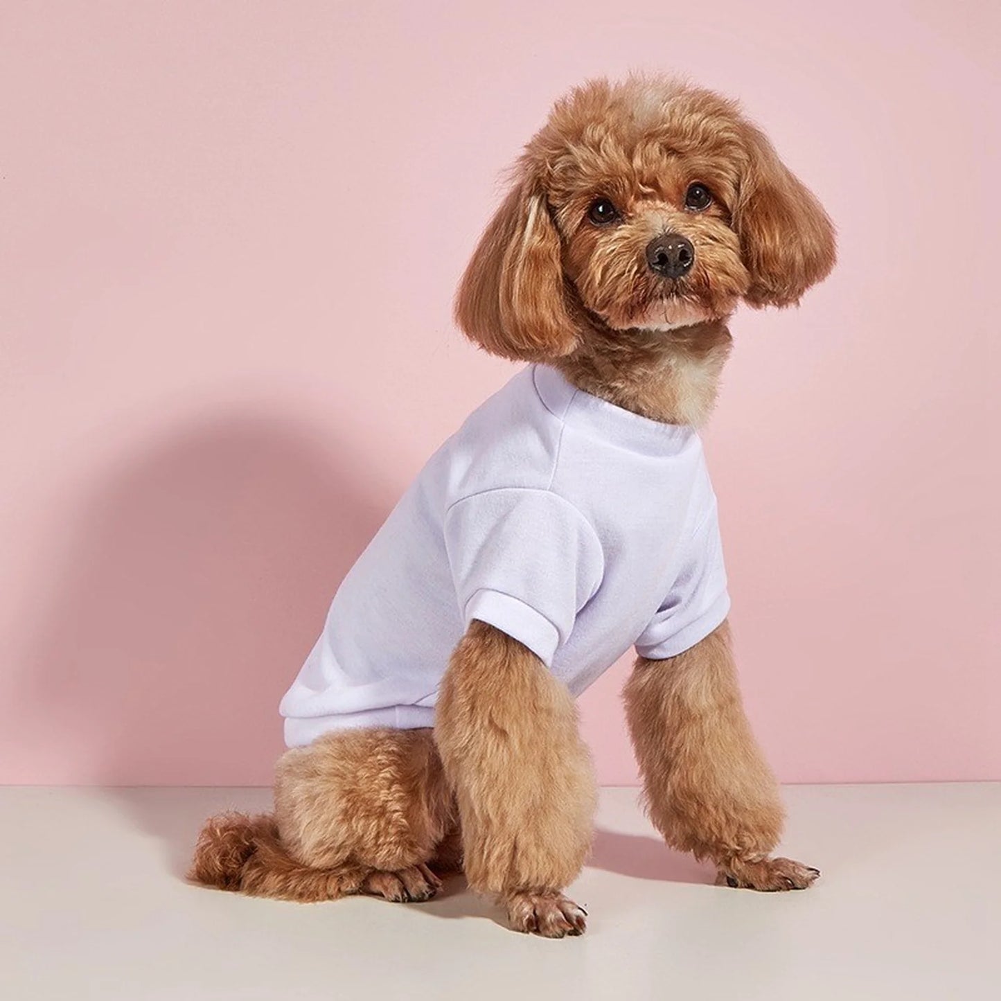Breathable Dog T-shirt Solid Comfortable Thin Vest For Dogs Cute Summer Pet Clothes Dog Vest Tops Pet Supplies