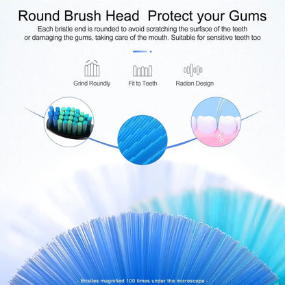 Electric Toothbrush Replacement Heads Compatible With SEAGO SG910/507/958/515/949/575/551,4/8/16pcs