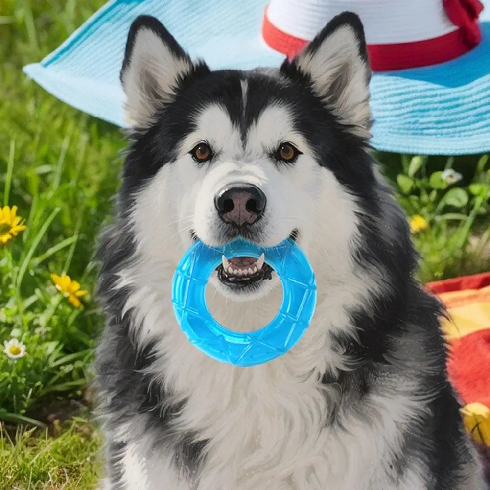 Dog Ice Stick Relieving Heat Cooling Pet Supplies Water Injection Tooth Grinding Toy Set Chew Puppy Outdoor Treat Training