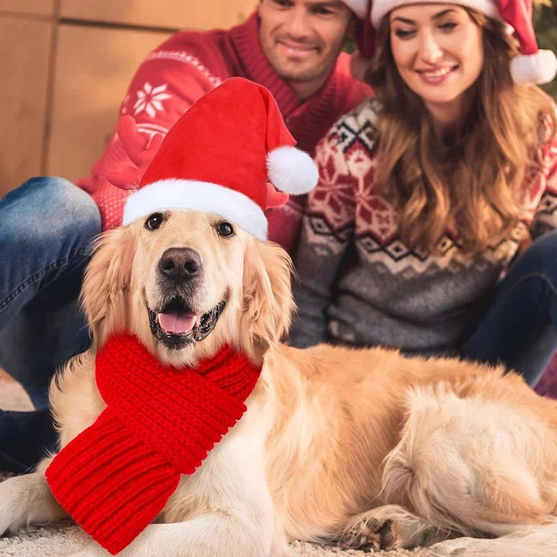 Pet Cat Dog Christmas Santa Hat Cap Small Medium Dogs Headwear Xmas New Year Party Cosplay Costume Accessories Pet Supplies