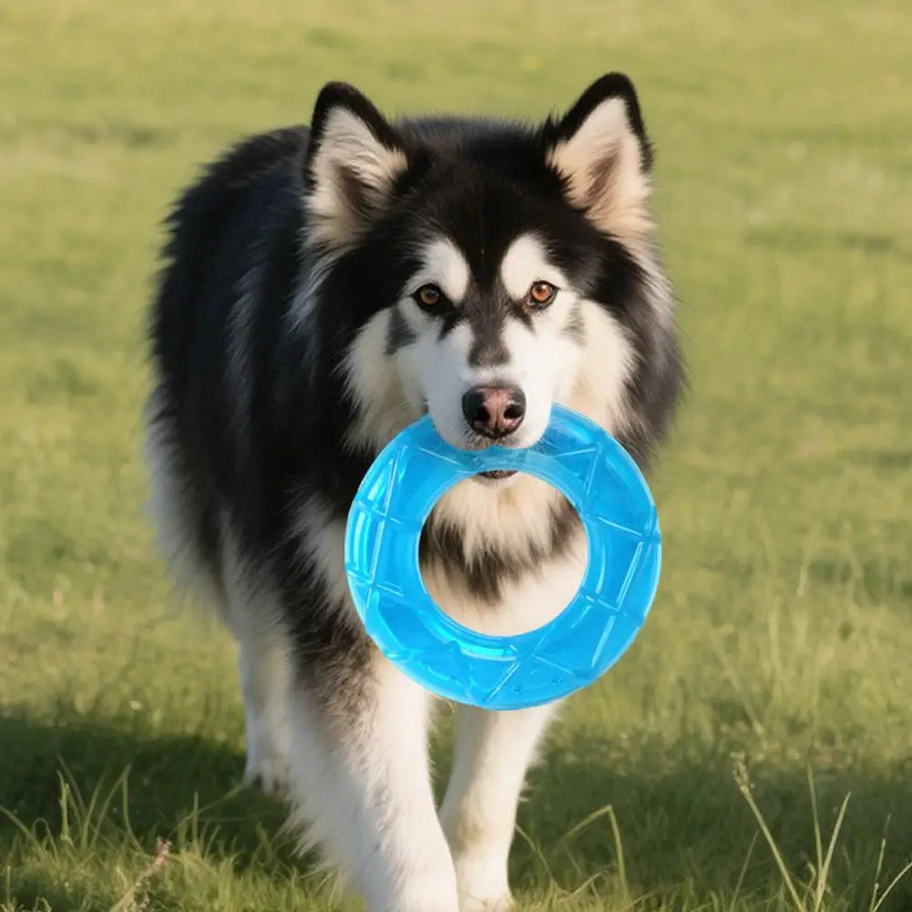 Dog Ice Stick Relieving Heat Cooling Pet Supplies Water Injection Tooth Grinding Toy Set Chew Puppy Outdoor Treat Training