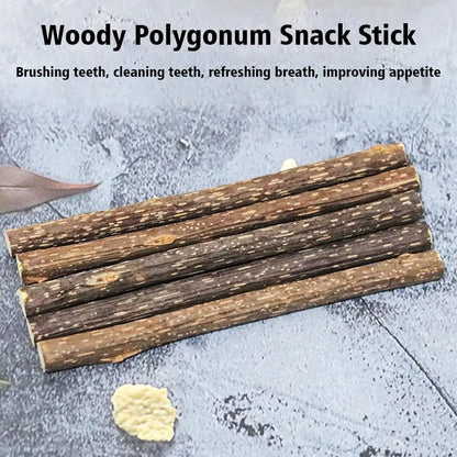 5Pcs Natural Catnip Pet Cat Molar Toothpaste Stick Cat Kitten Chew Toys  Pet Supplies Cat Snacks Sticks Healthy Pet Accessories