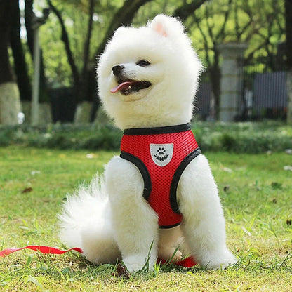 Dog Harness Vest Chest Cat Collars Rope Adjustable Breathable Mesh Puppy Harness for Outdoor Walking Small Medium Pet Supplies