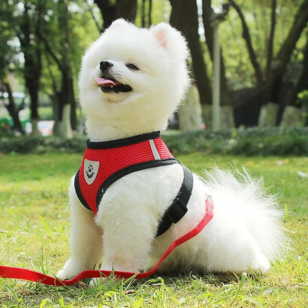 Dog Harness Vest Chest Cat Collars Rope Adjustable Breathable Mesh Puppy Harness for Outdoor Walking Small Medium Pet Supplies
