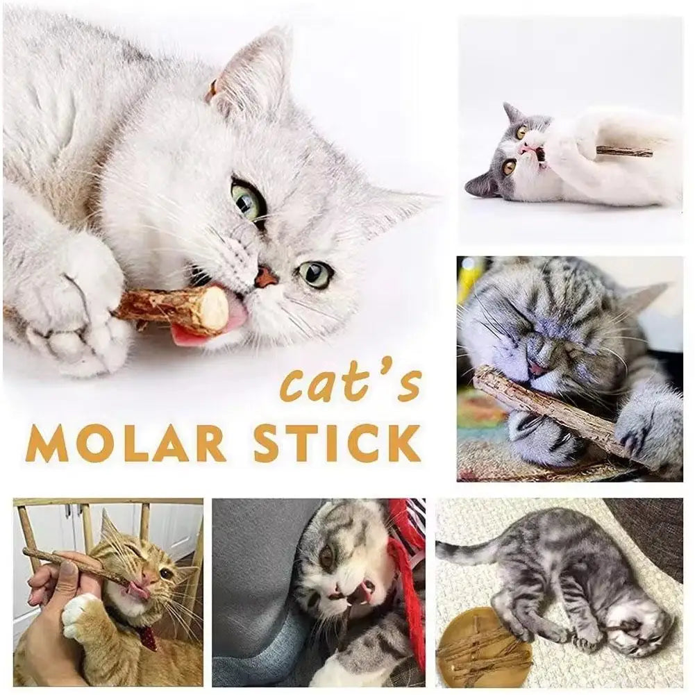 5Pcs Natural Catnip Pet Cat Molar Toothpaste Stick Cat Kitten Chew Toys  Pet Supplies Cat Snacks Sticks Healthy Pet Accessories