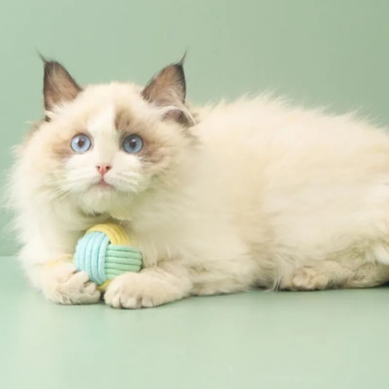 Cat Toys Cotton Balls Interactive Cat Toy Self Hi Cotton Ball Chew Toys for Cats Grinding Cat Toy Teeth Cleaning Pet Supplies