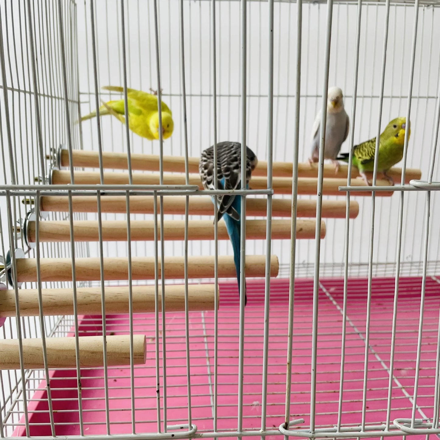 Parrot Pet Raw Standing Stick Wood Hanging Stand Rack Toy Sticksstand Parakeet Branch Perches For Bird Cage Bar Pet Supplies
