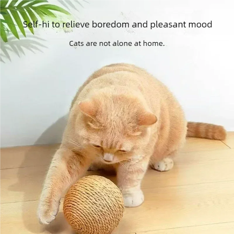 8cm Bite-Resistant Cat Scratching Ball | Interactive Kitten Toy with Crinkle Sound for Cats Chasing & Play Pet Supplies