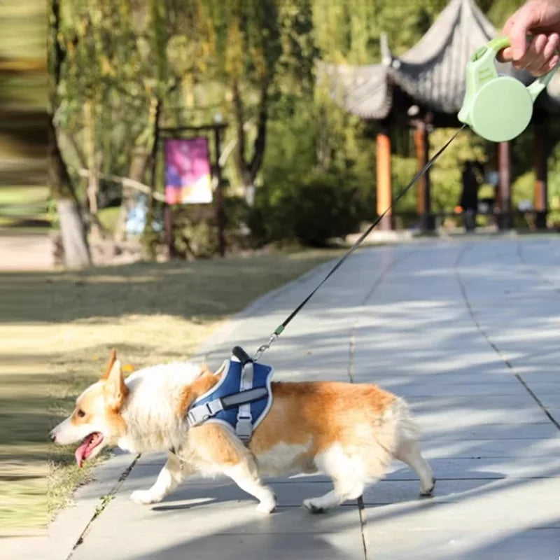 3/5m Automatic Retractable Pet Nylon Lead Walking Traction Dog Leash Small Medium Dogs Cats Durable Strong Roulette Pet Supplies