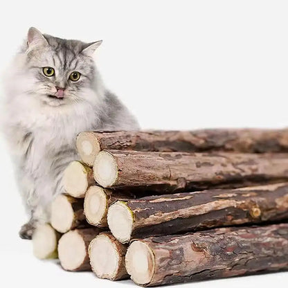5Pcs Natural Catnip Pet Cat Molar Toothpaste Stick Cat Kitten Chew Toys  Pet Supplies Cat Snacks Sticks Healthy Pet Accessories