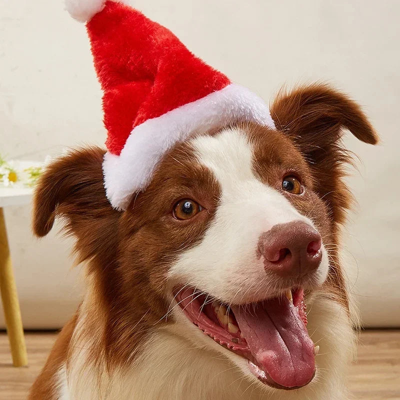 Pet Cat Dog Christmas Santa Hat Cap Small Medium Dogs Headwear Xmas New Year Party Cosplay Costume Accessories Pet Supplies