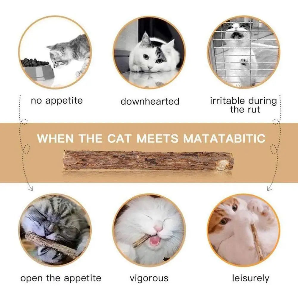 5Pcs Natural Catnip Pet Cat Molar Toothpaste Stick Cat Kitten Chew Toys  Pet Supplies Cat Snacks Sticks Healthy Pet Accessories