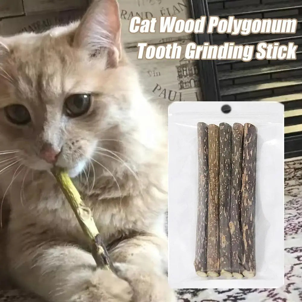 5Pcs Natural Catnip Pet Cat Molar Toothpaste Stick Cat Kitten Chew Toys  Pet Supplies Cat Snacks Sticks Healthy Pet Accessories