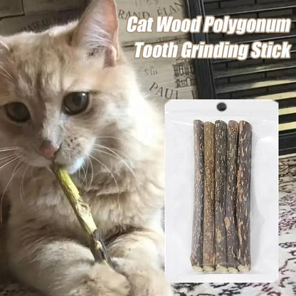5Pcs Natural Catnip Pet Cat Molar Toothpaste Stick Cat Kitten Chew Toys  Pet Supplies Cat Snacks Sticks Healthy Pet Accessories