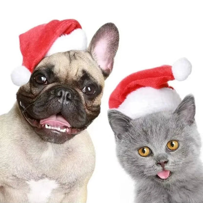 Pet Cat Dog Christmas Santa Hat Cap Small Medium Dogs Headwear Xmas New Year Party Cosplay Costume Accessories Pet Supplies