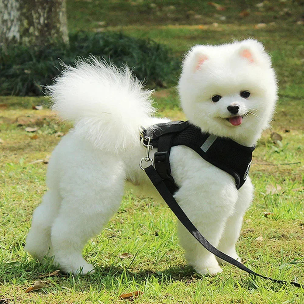 Dog Harness Vest Chest Cat Collars Rope Adjustable Breathable Mesh Puppy Harness for Outdoor Walking Small Medium Pet Supplies